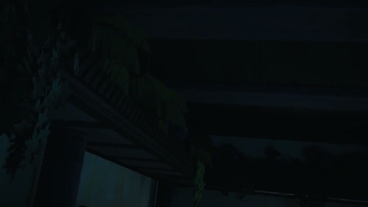 Episódio 010