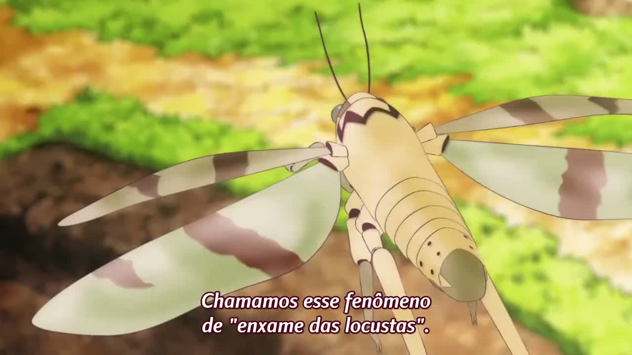 Episódio 002