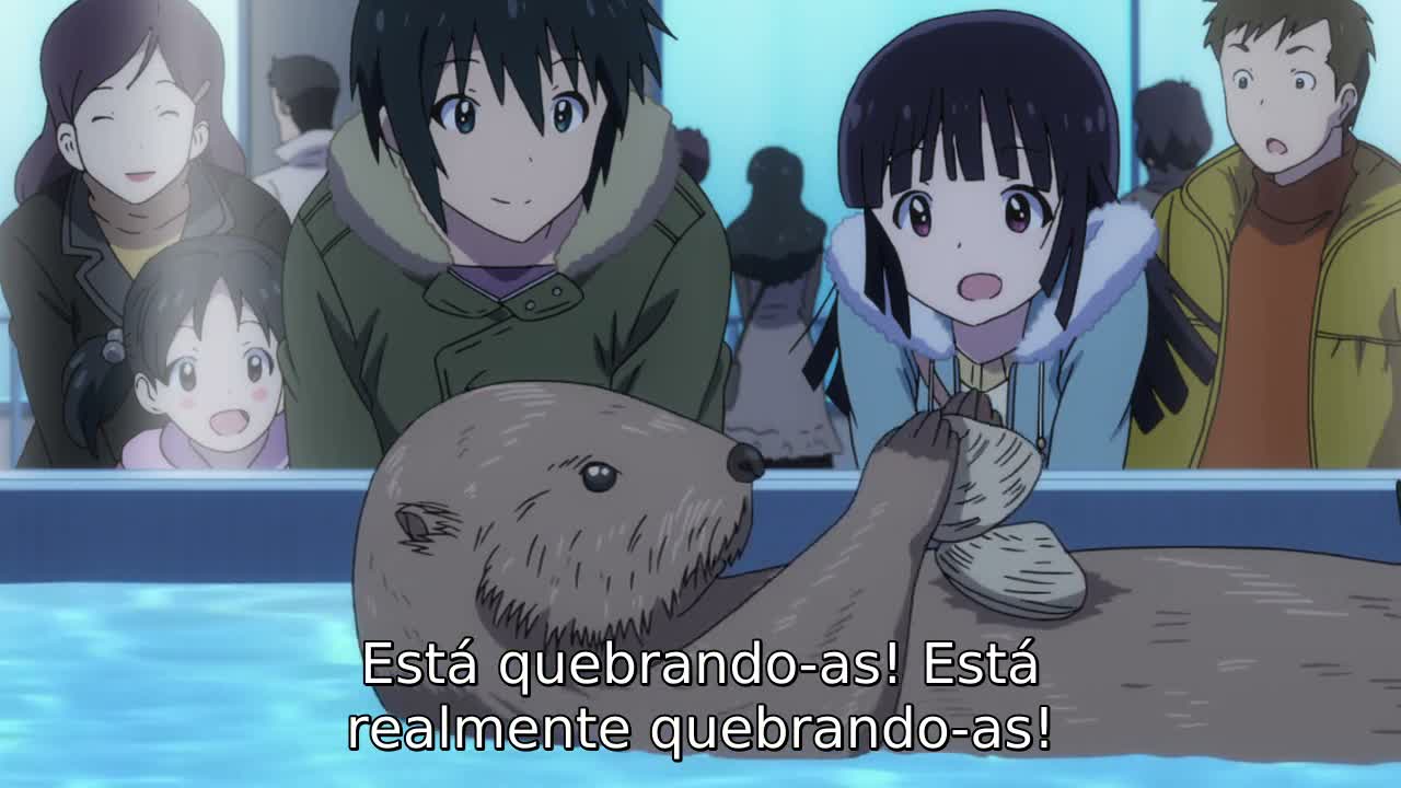 Episódio 008