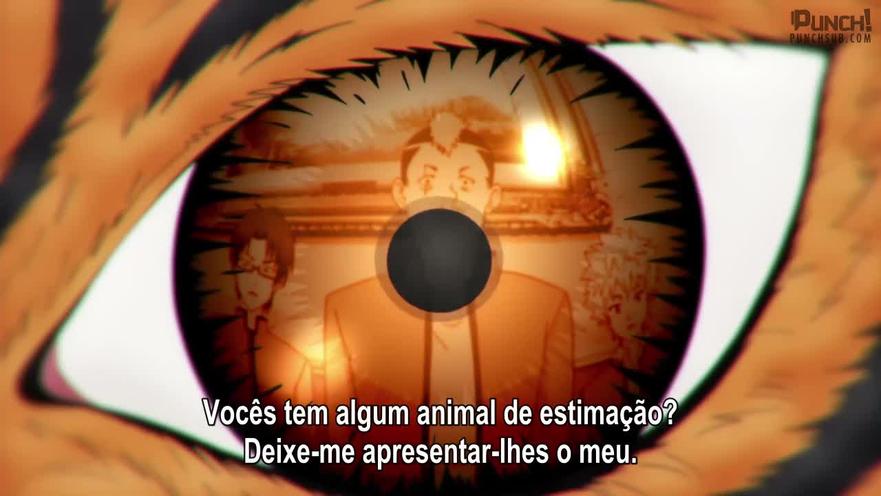 Episódio 003