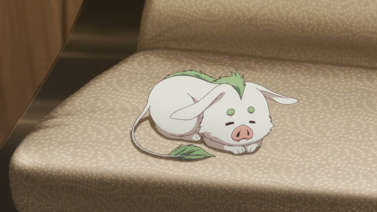 Episódio 005