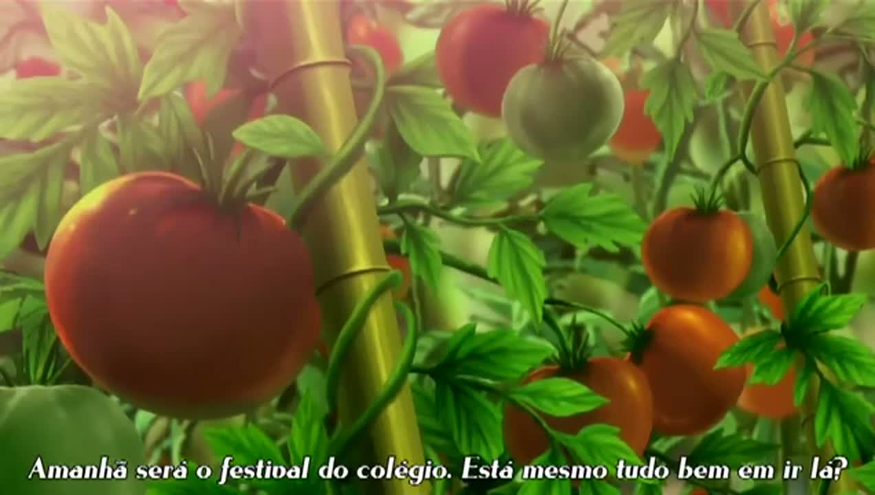 Episódio 007
