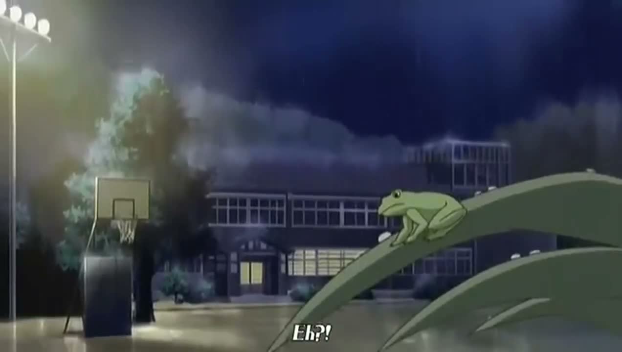 Episódio 005