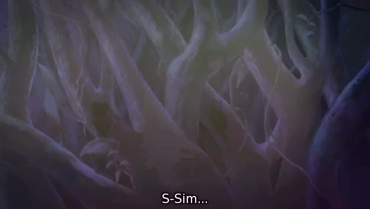 Episódio 005