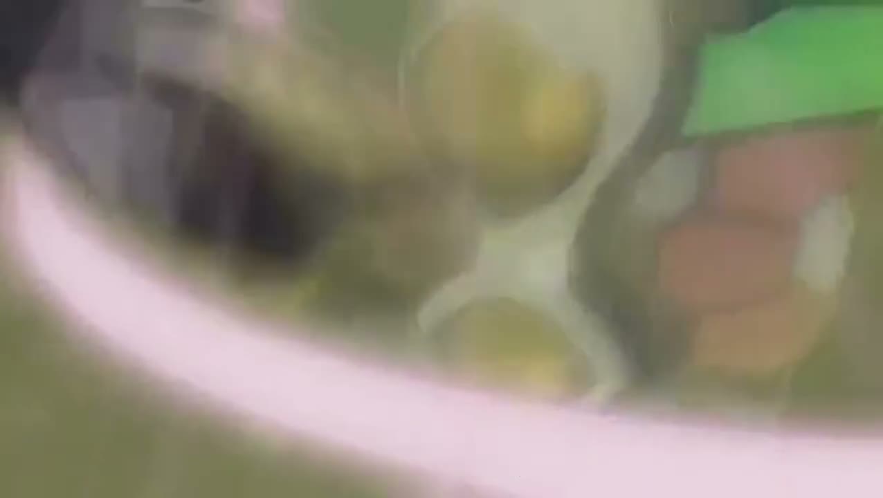 Episódio 025