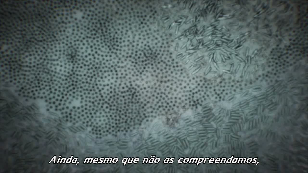 Episódio 024
