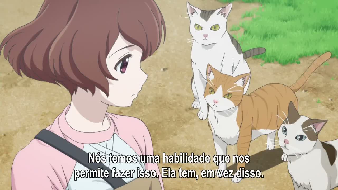 Episódio 003