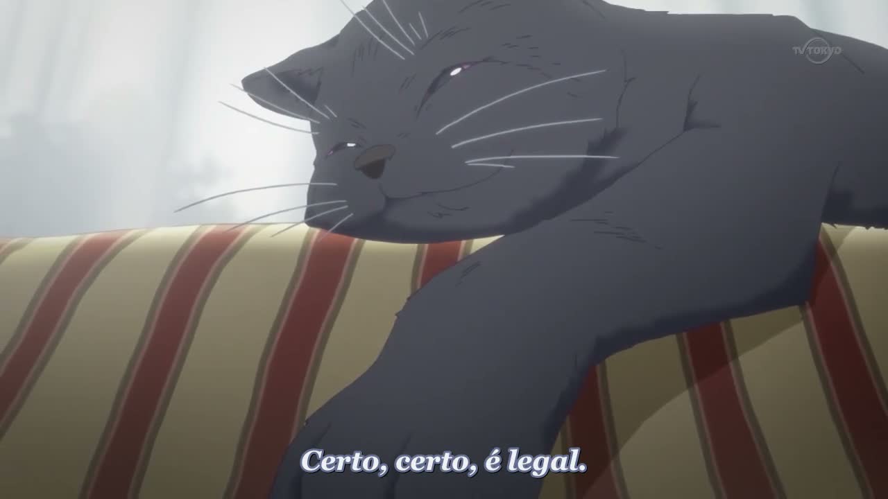 Episódio 010