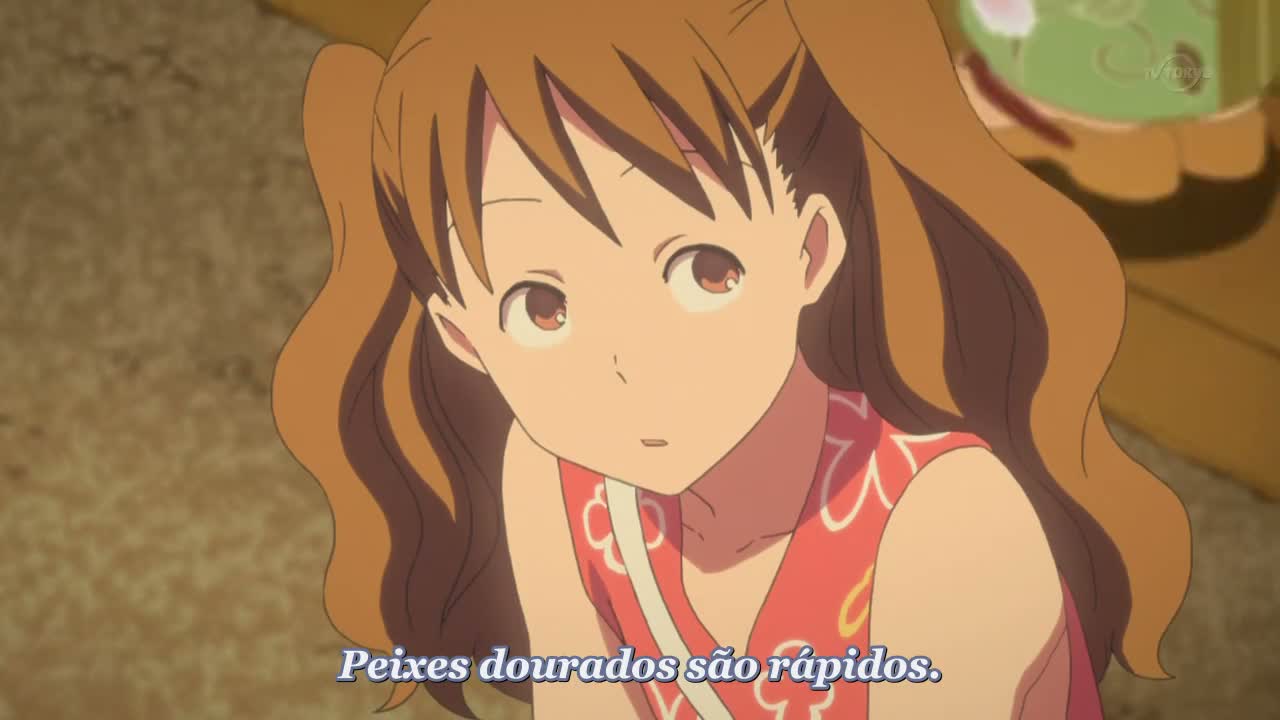 Episódio 005