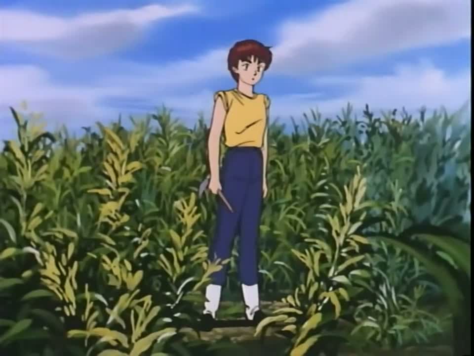 Episódio 003