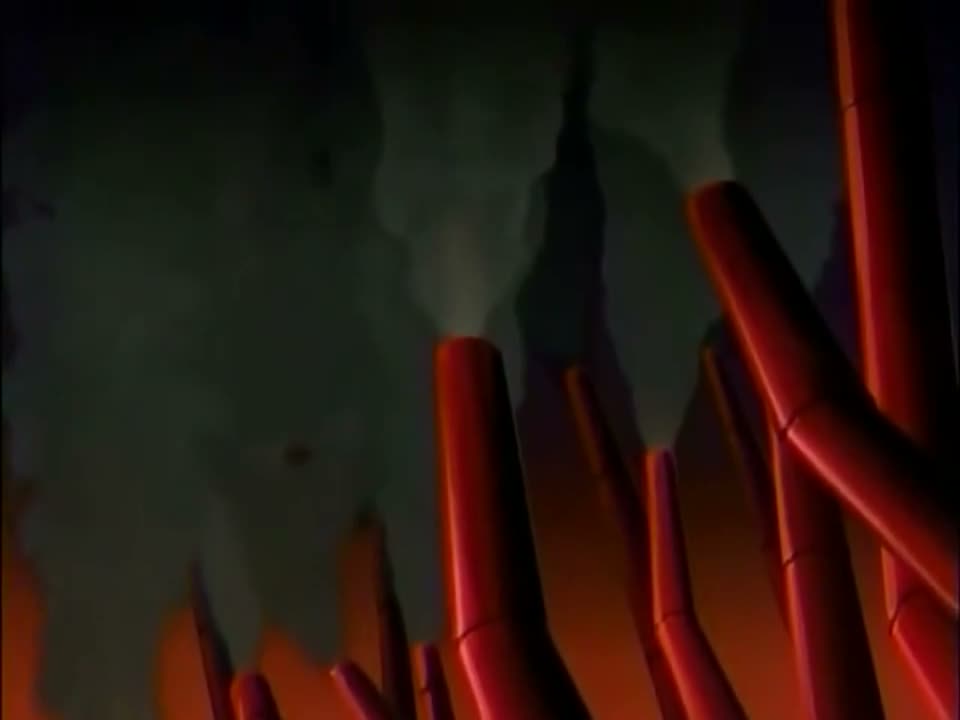 Episódio 008