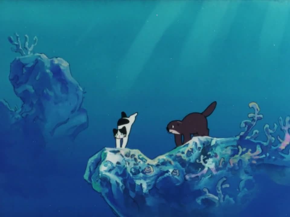 Episódio 001