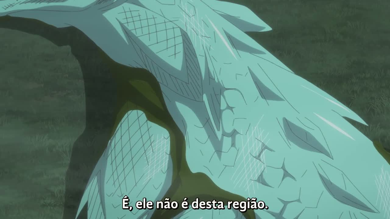 Episódio 011