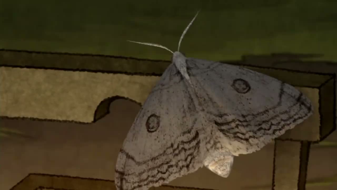 Episódio 027