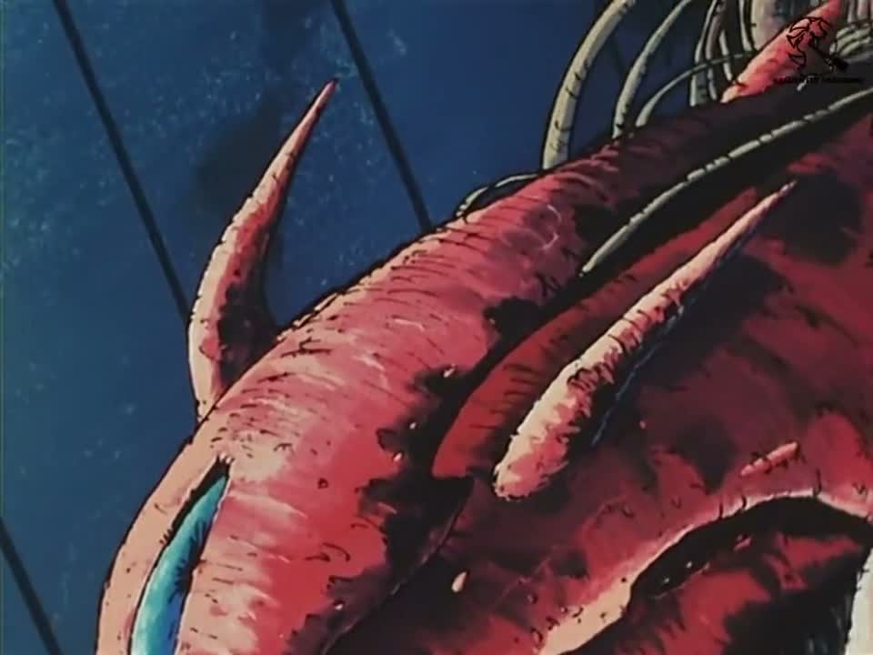 Episódio 001
