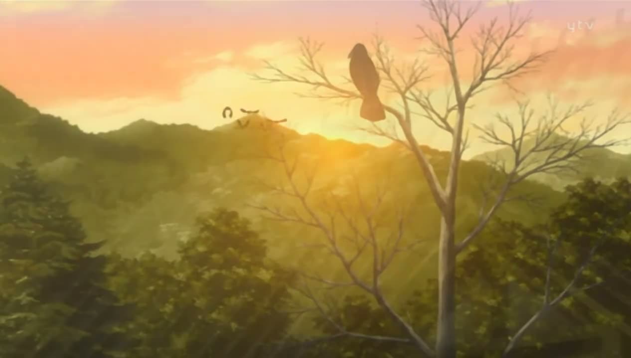 Episódio 041