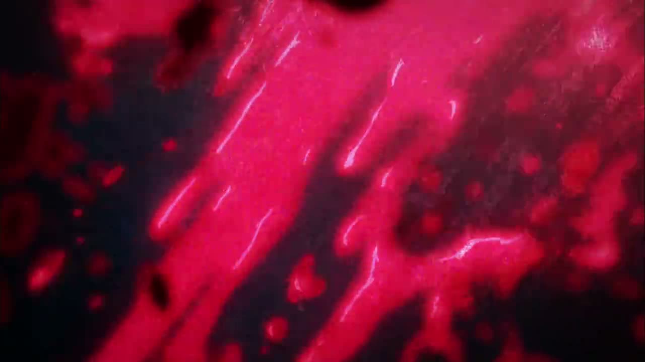 Episódio 005