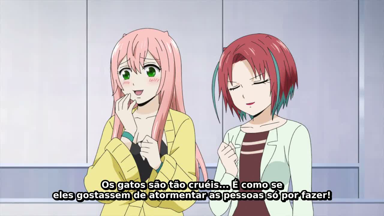 Episódio 011