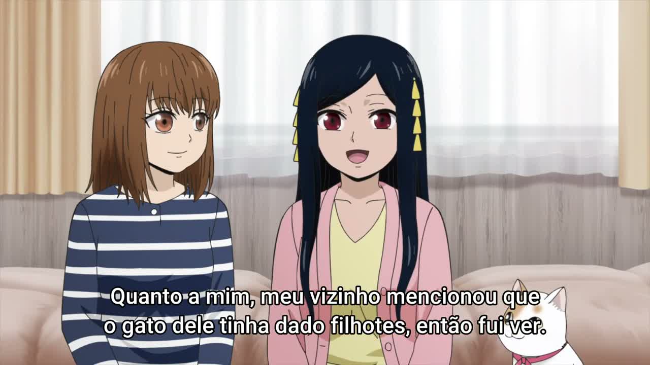 Episódio 008