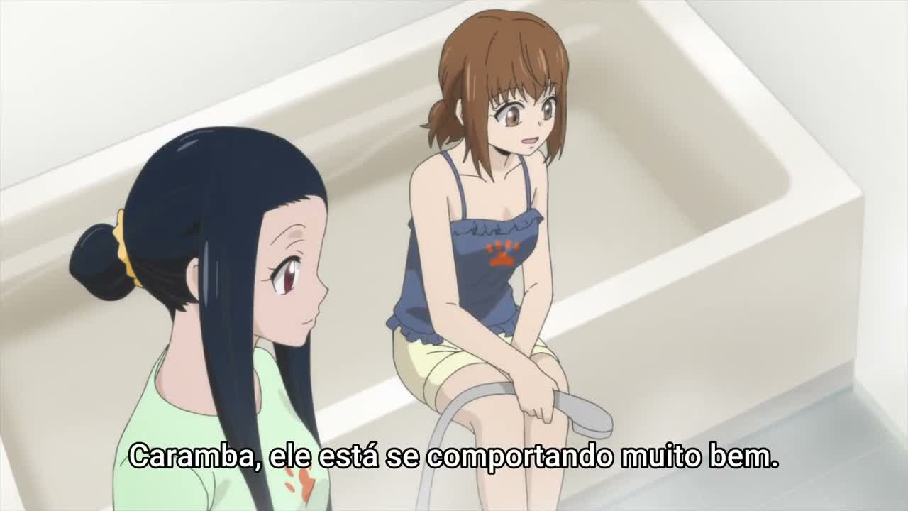 Episódio 006