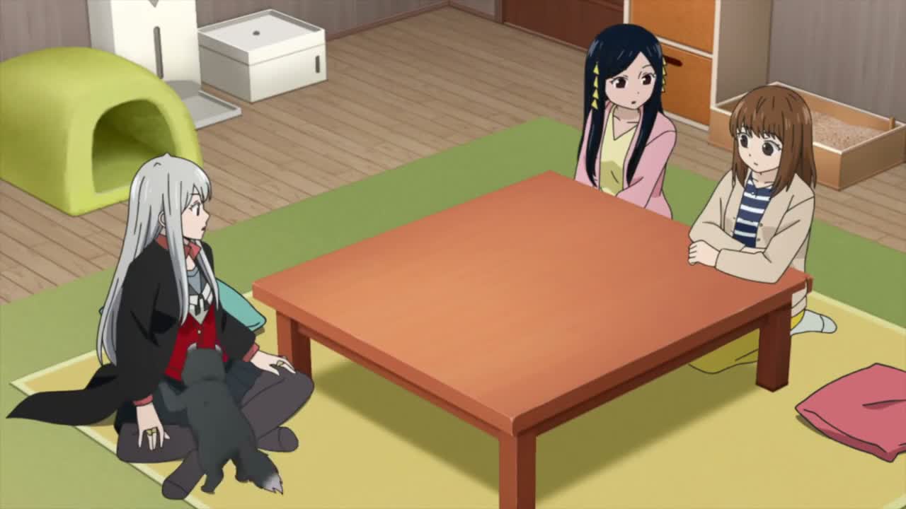Episódio 004