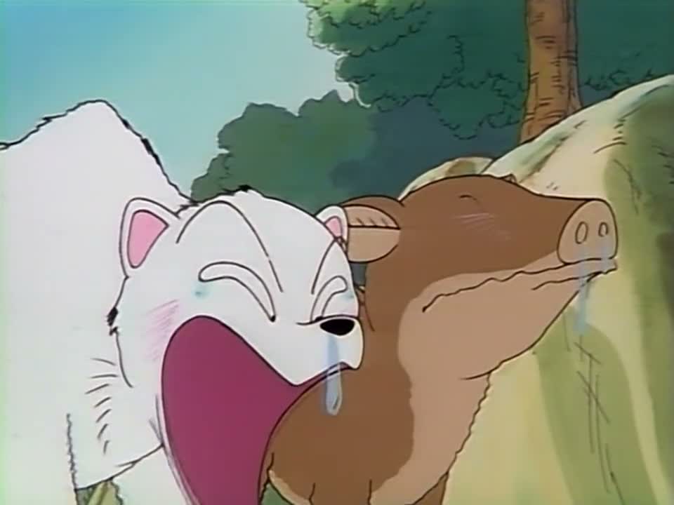 Episódio 001