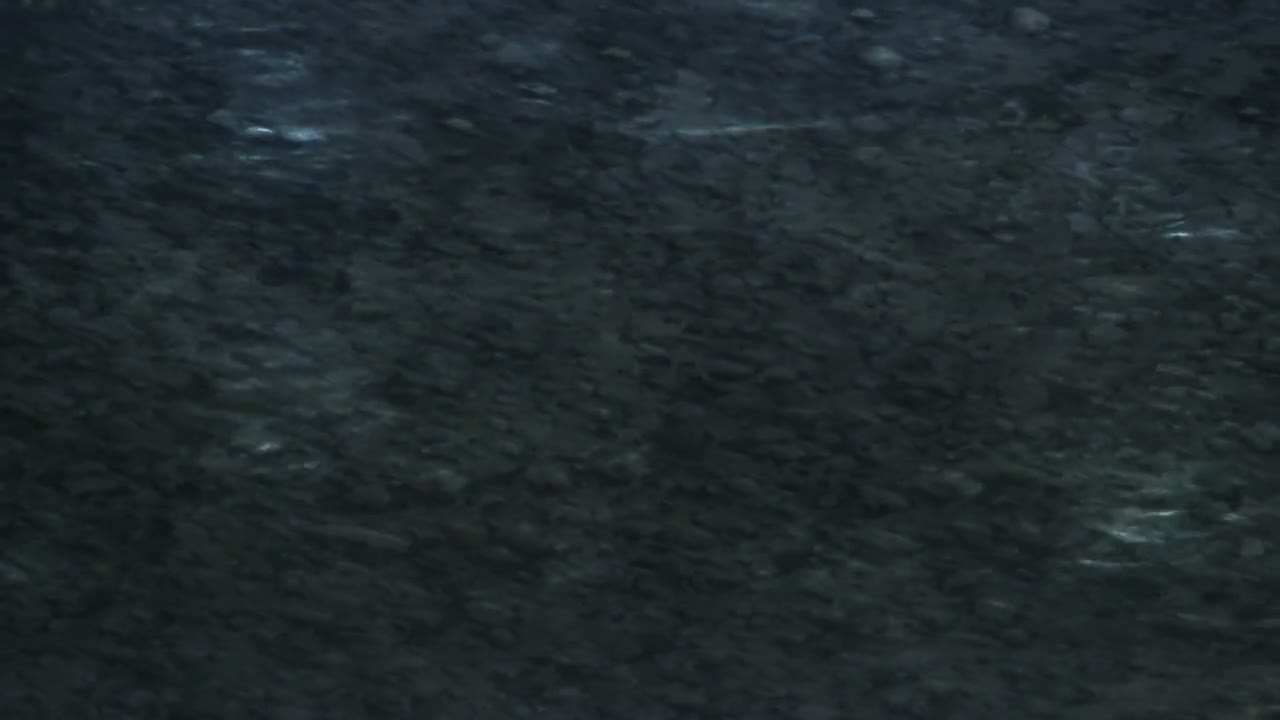 Episódio 010