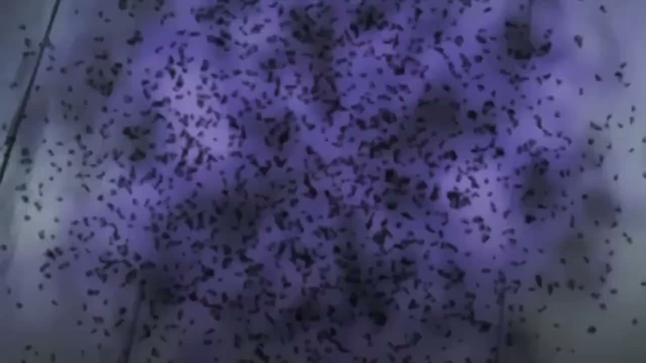 Episódio 134