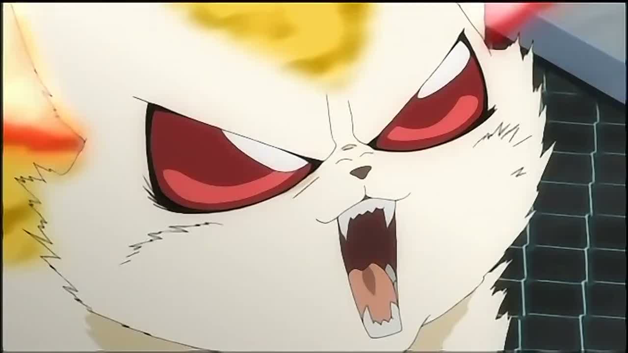 Episódio 112