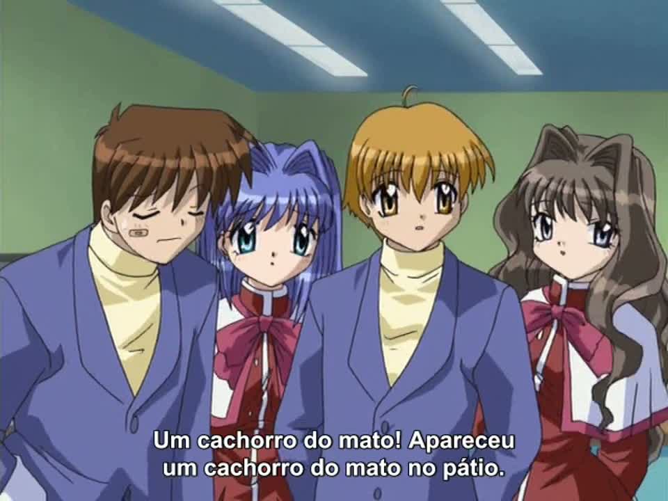 Episódio 004