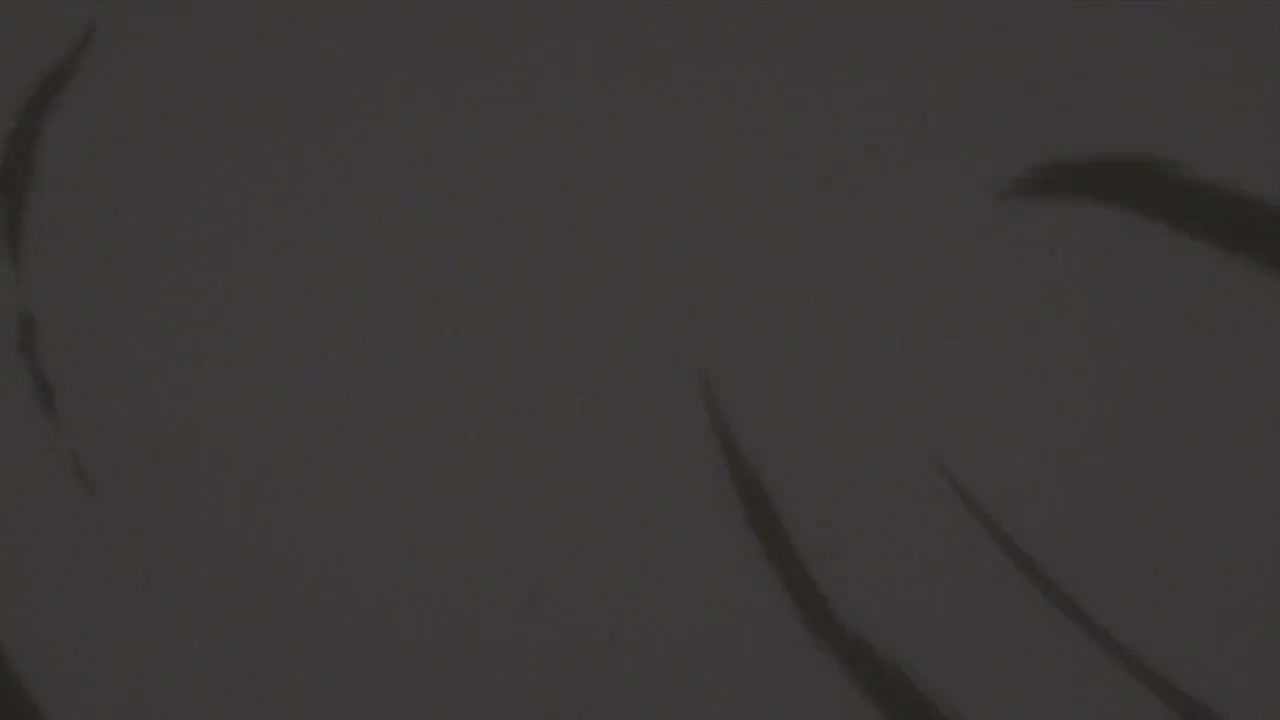 Episódio 005