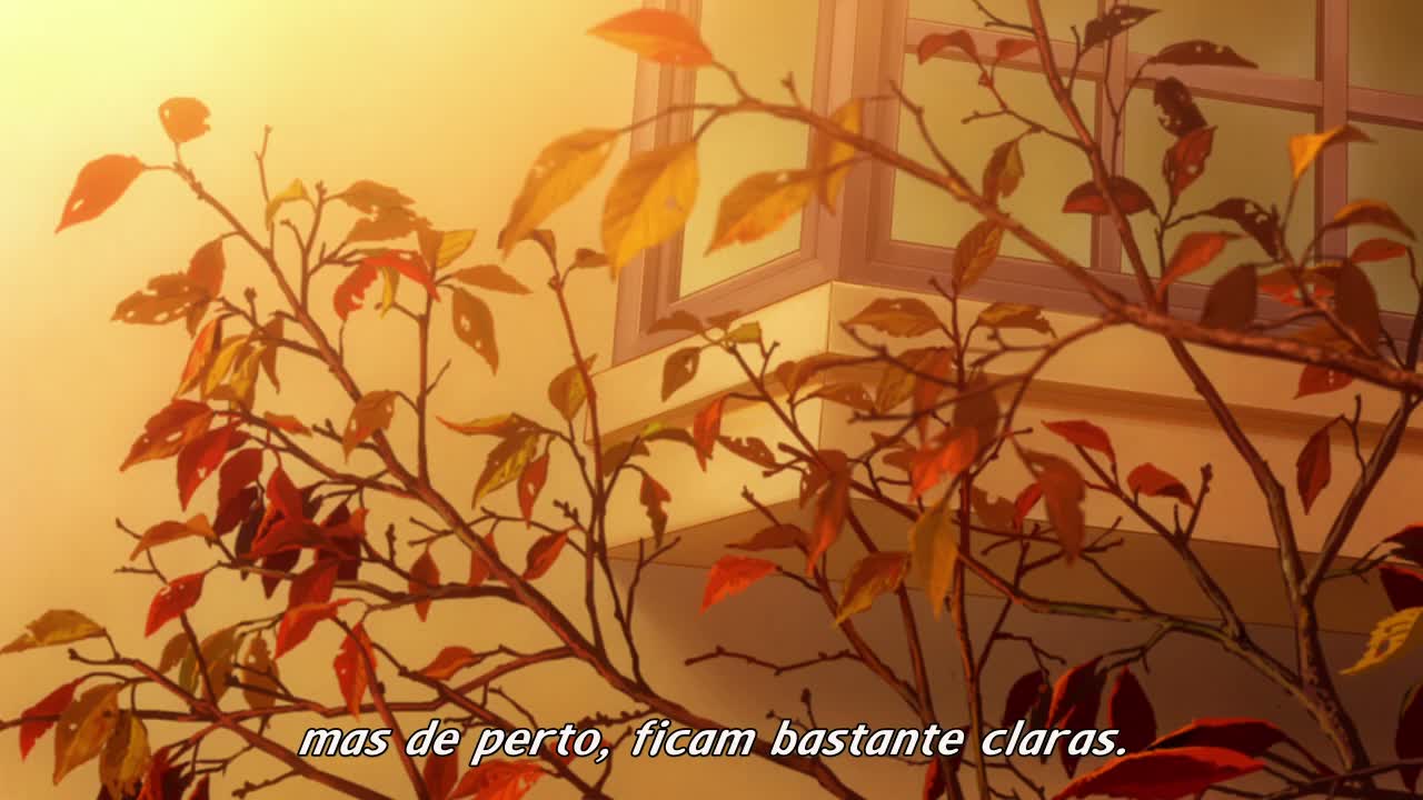 Episódio 003