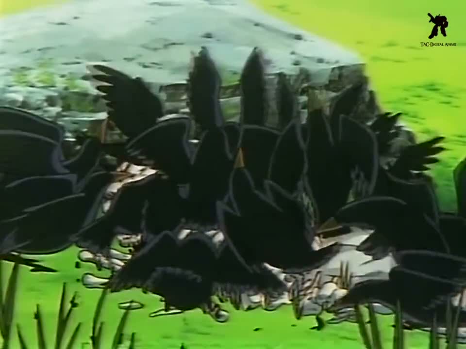 Episódio 024