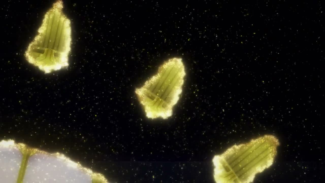 Episódio 007