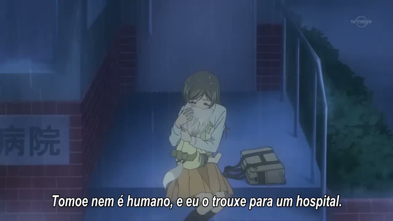 Episódio 005