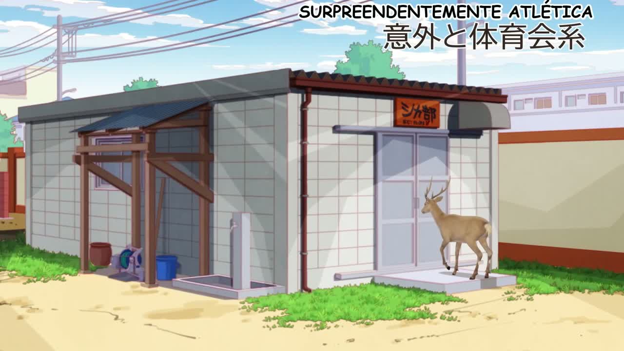 Episódio 006