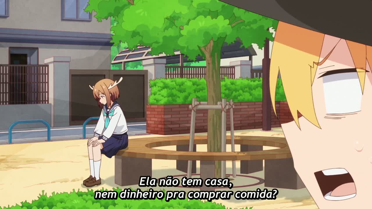 Episódio 005