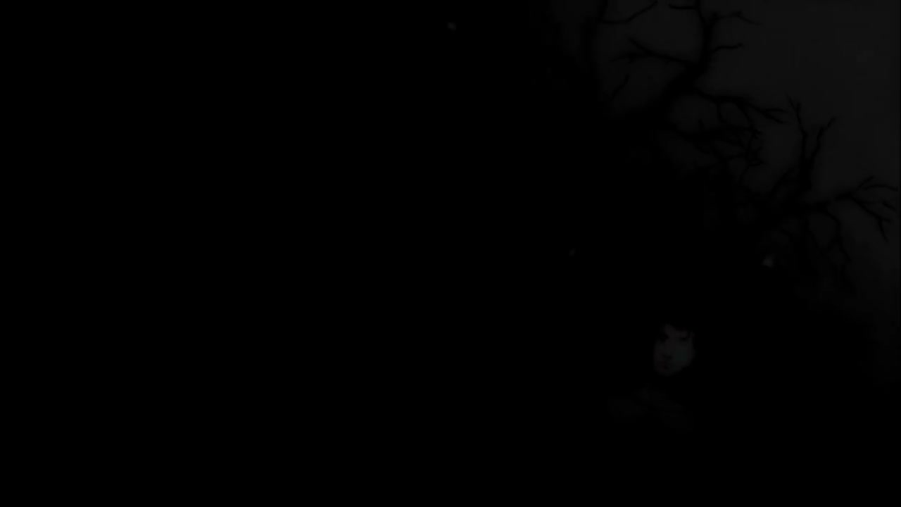 Episódio 009