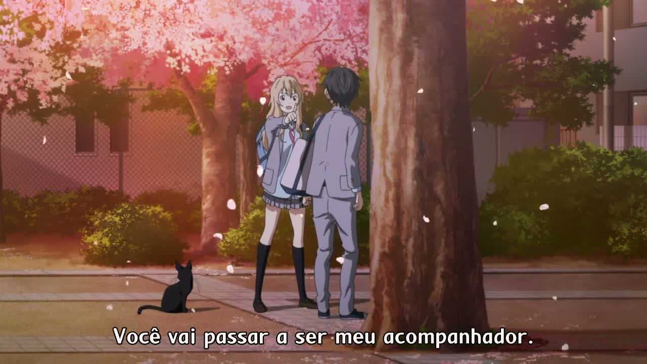 Episódio 003