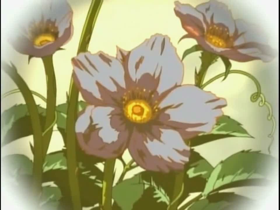 Episódio 012