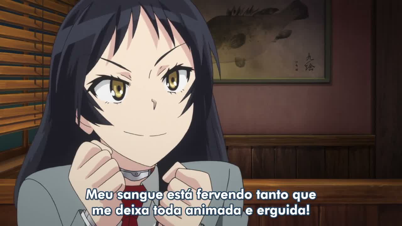 Episódio 004