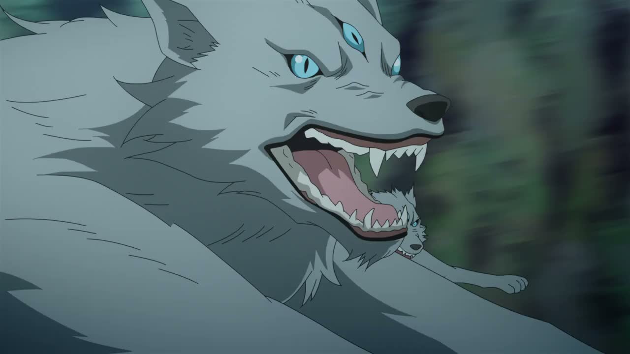 Episódio 005