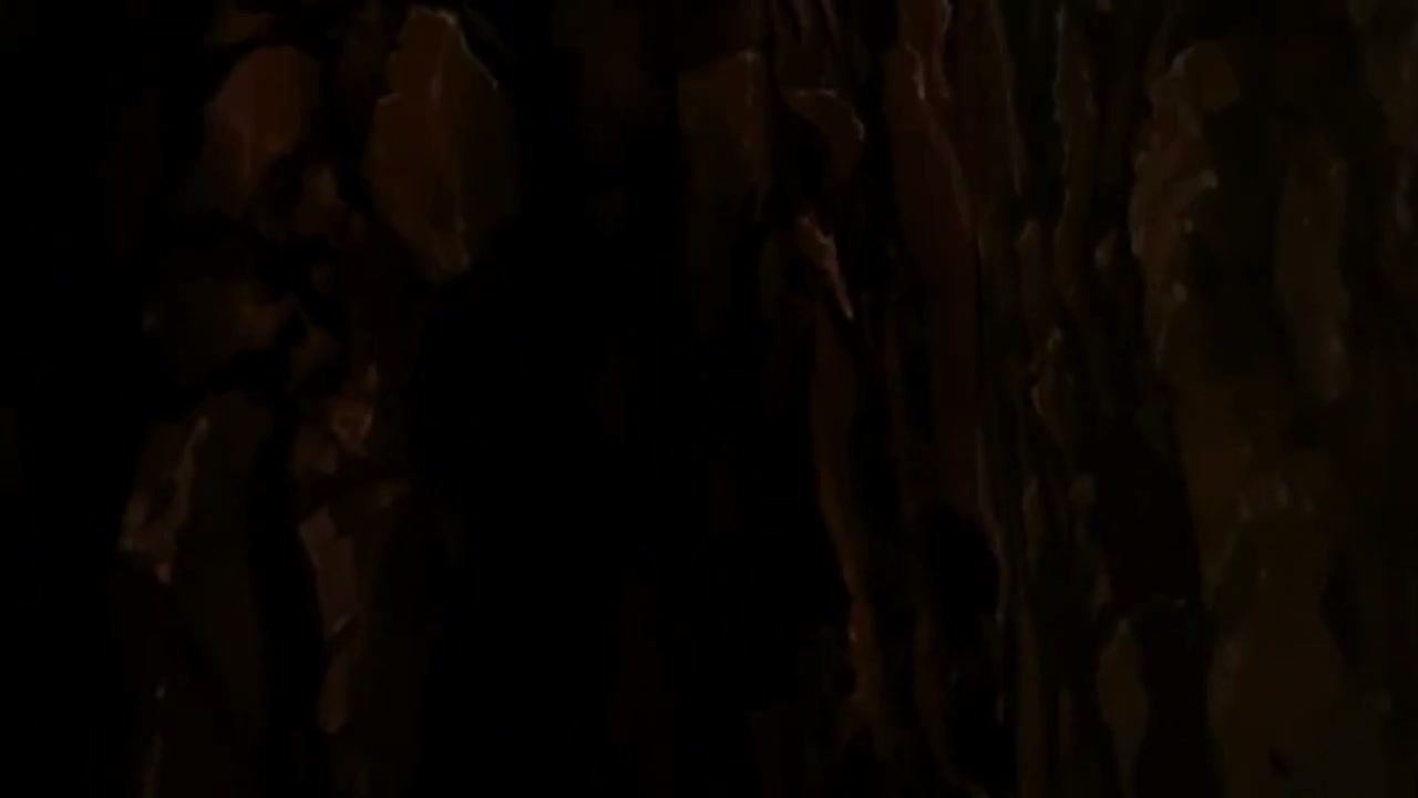 Episódio 003