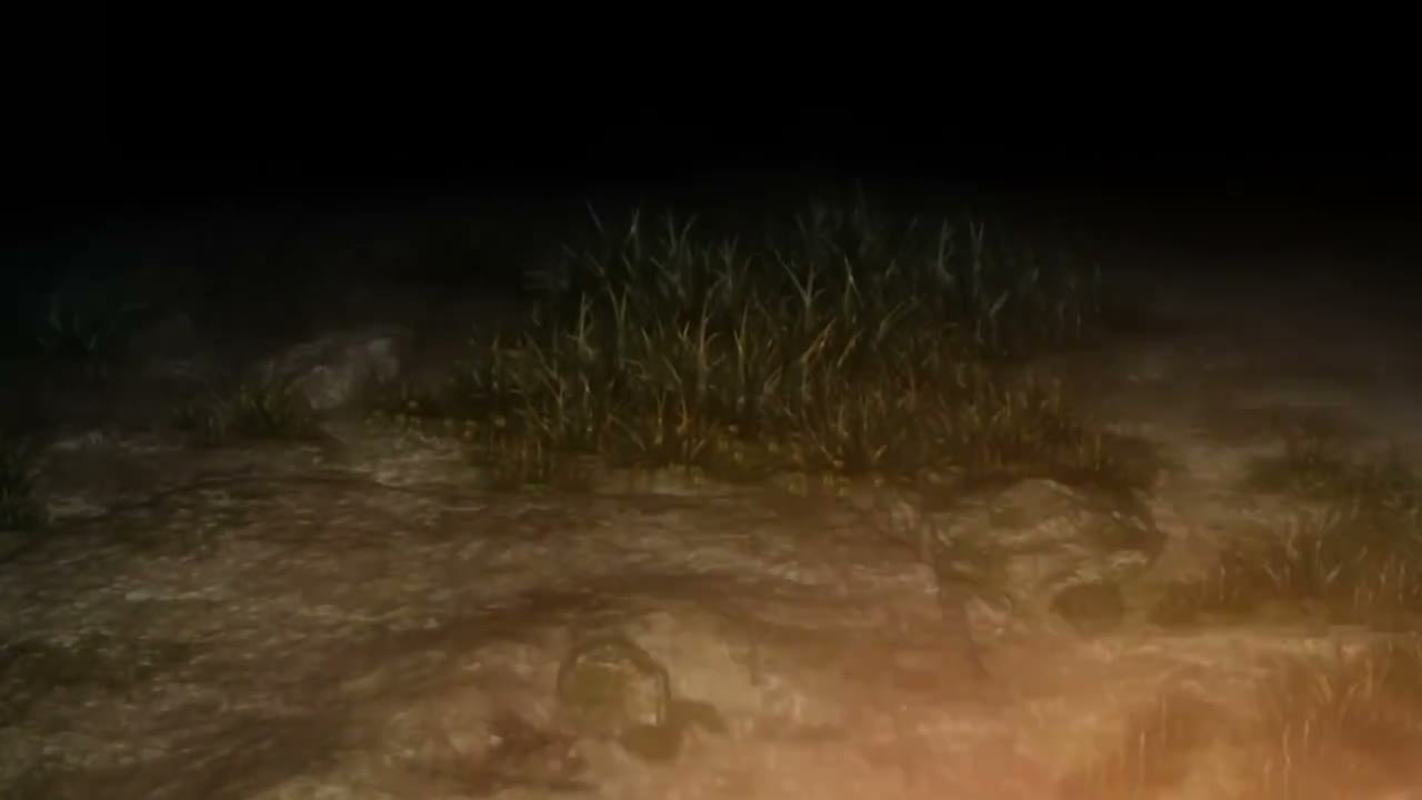 Episódio 003