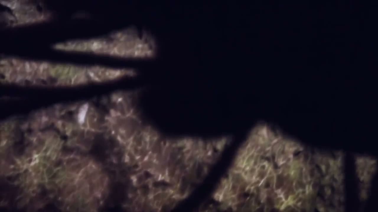 Episódio 013
