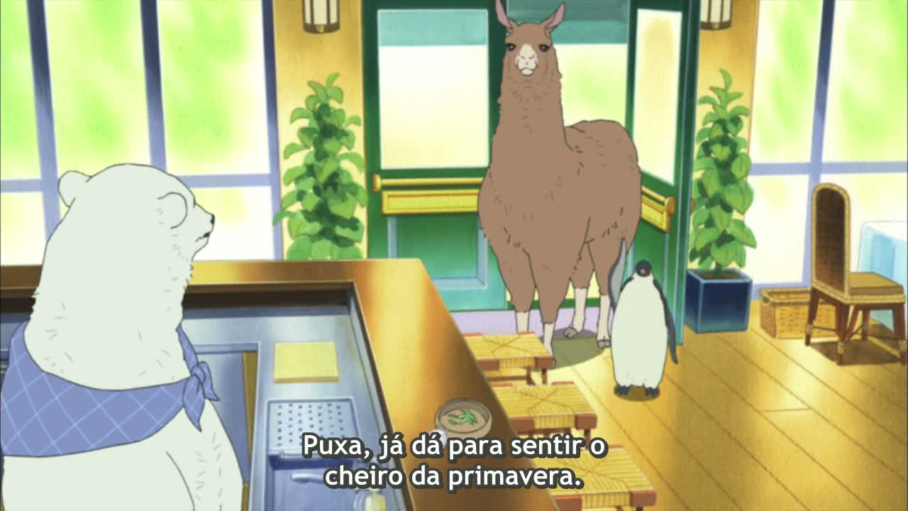 Episódio 050