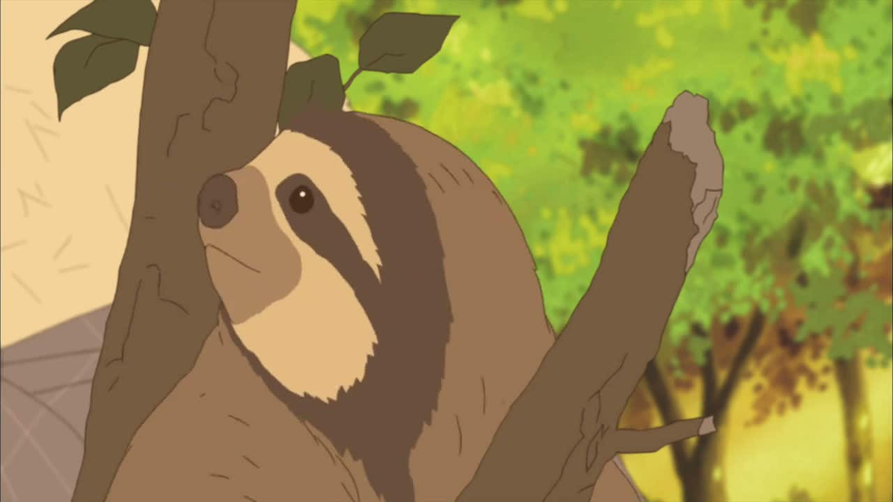 Episódio 035