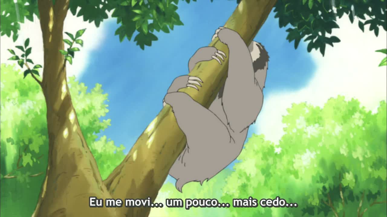 Episódio 024