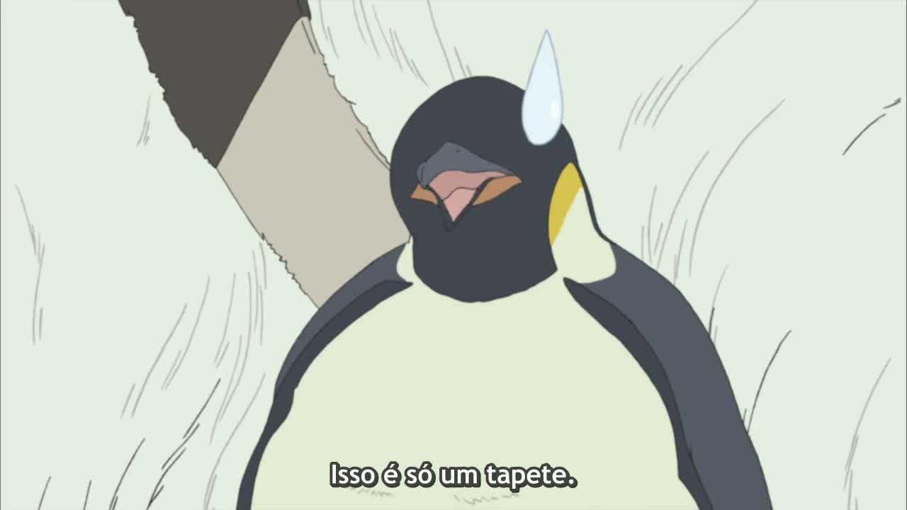 Episódio 003