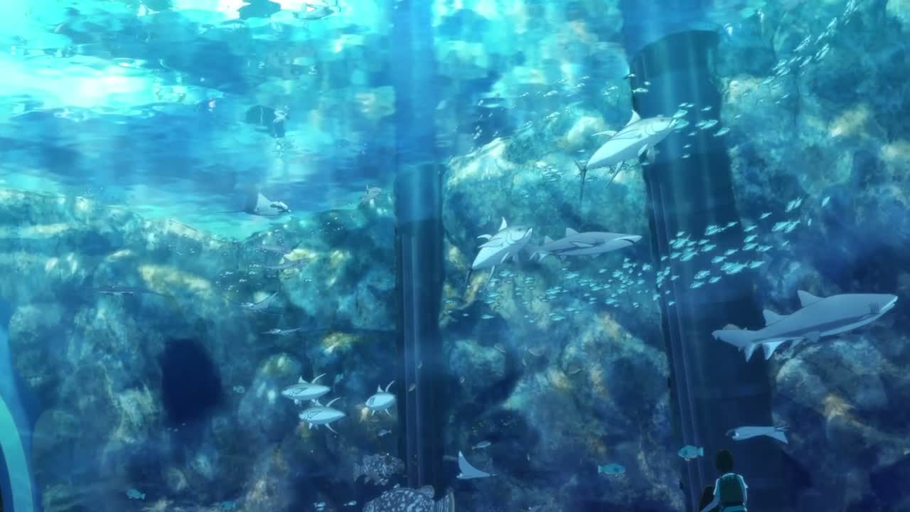 Episódio 013